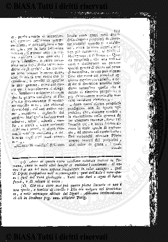 s. 3, n. 17 (1894) - Pagina: 257