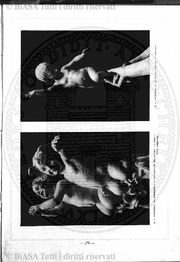 v. 9, n. 28 (1844-1845) - Pagina: 217
