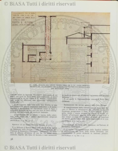 v. 10, n. 50 (1845-1846) - Pagina: 393