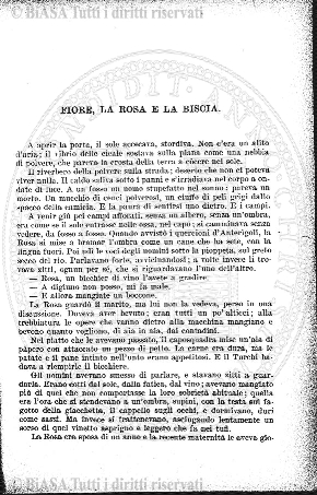 v. 20, n. 43 (1793-1794) - Pagina: 337