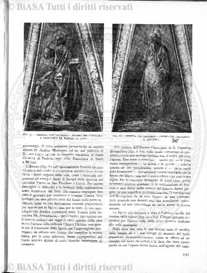 n. 4 (1830) - Pagina: 81