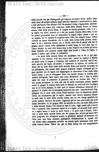 v. 10, n. 35 (1783-1784) - Pagina: 273