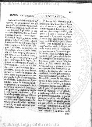 v. 8, n. 6 (1781-1782) - Pagina: 41