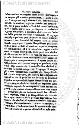v. 2, n. 49 (1775-1776) - Pagina: 385