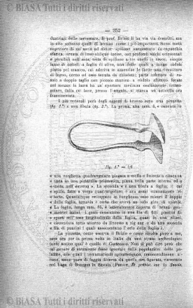 n. 14 (1784) - Pagina: 105