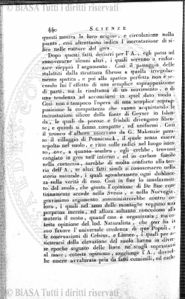 v. 8, n. 51 (1841-1842) - Pagina: 401