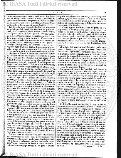 n. 84 (1846-1847) - Pagina: 105