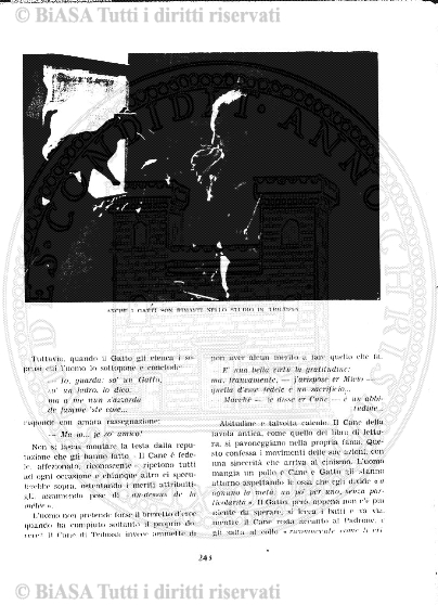 n. 8 (1910) - Pagina: 61