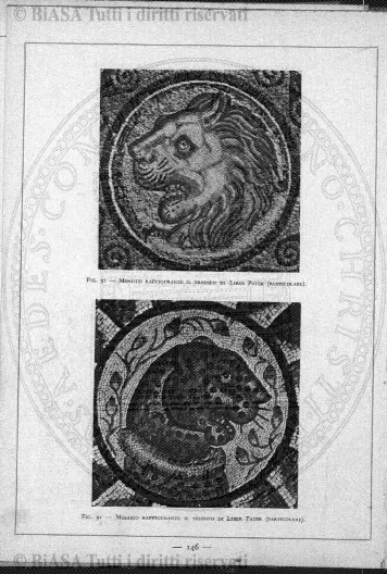 v. 8, n. 20 (1781-1782) - Pagina: 153