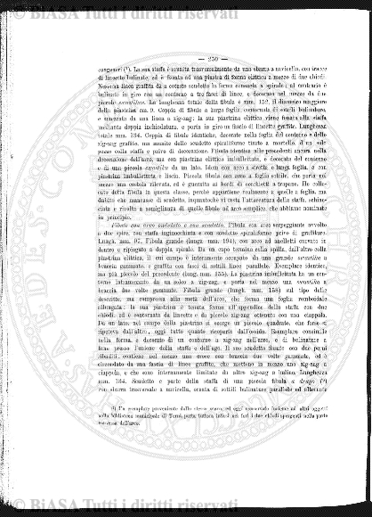 v. 4, n. 8 (1895) - Pagina: 113