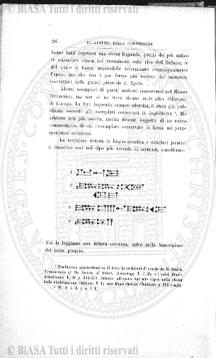 v. 28, n. 49 (1861-1862) - Pagina: 385