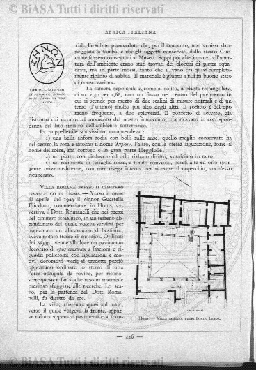 n. 6 (1904) - Pagina: 221