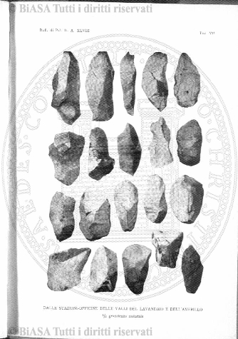 n. 11 (1846-1847) - Pagina: 81