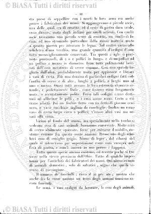 v. 29, n. 174 (1909) - Pagina: 402