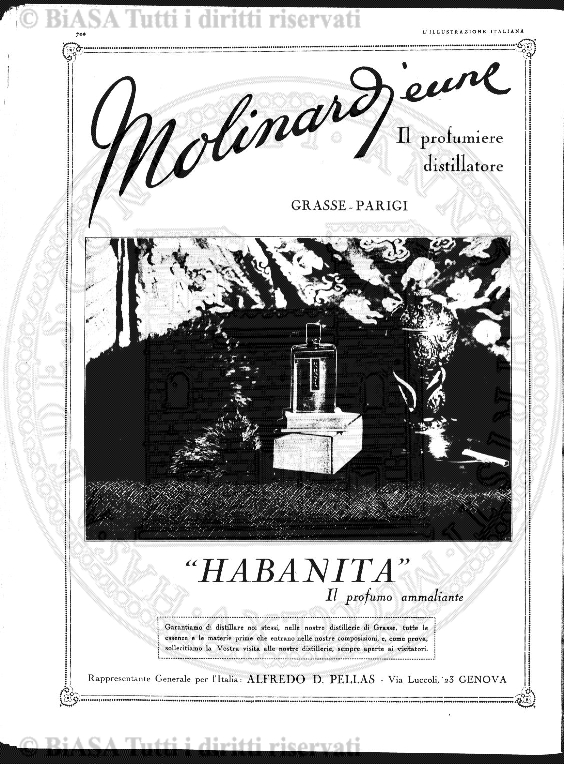v. 4, n. 8 (1875) - Pagina: 225