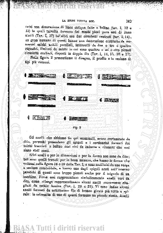 n. 19 (1884) - Frontespizio