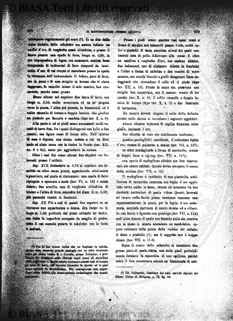 n. 15 (1895) - Frontespizio