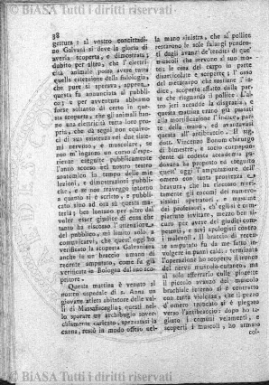 n. 3 (1869) - Pagina: 33