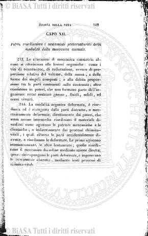 n. 15 (1896) - Frontespizio