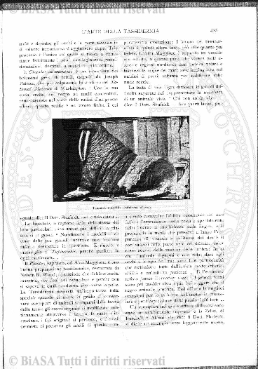 v. 11, n. 32 (1784-1785) - Pagina: 257