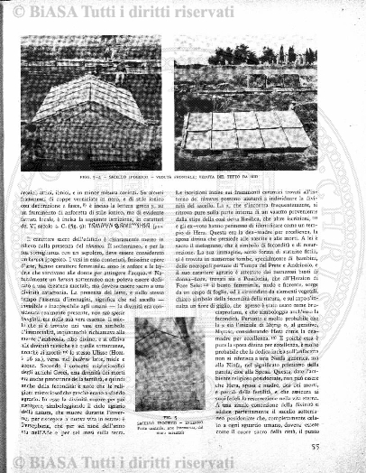 s. 3, n. 11-12 (1901) - Pagina: 65 e sommario