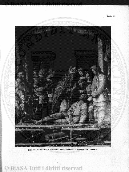 n. 30 (1889) - Pagina: 233 e sommario