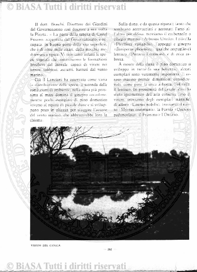 n. 10-11 (1974) - Copertina: 1