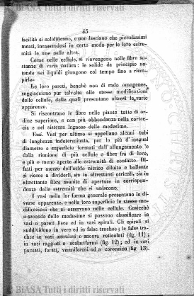v. 11, n. 37 (1784-1785) - Pagina: 297
