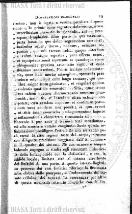 n. 6 (1846-1847) - Pagina: 41