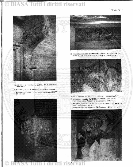 n. 4 (1873) - Pagina: 49