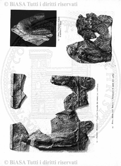 n. 11 (1907) - Pagina: 665