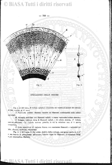 n. 9 (1934) - Copertina: 1