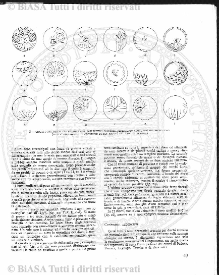 apr-giu (1875) - Pagina: 41