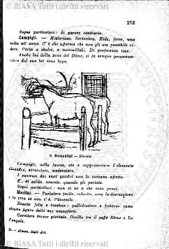 n. 7 (1829) - Pagina: 65