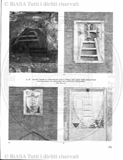 n. 3a (1830) - Pagina: 49