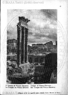 v. 5, n. 40 (1778-1779) - Pagina: 313