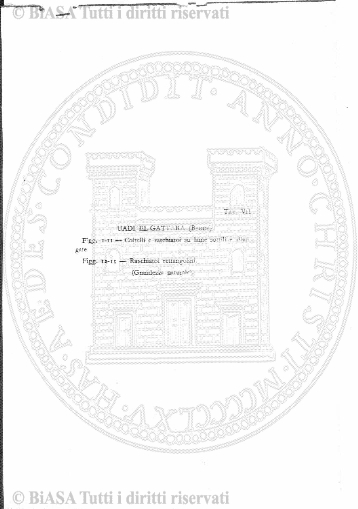 v. 11, n. 18 (1784-1785) - Pagina: 145