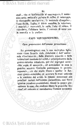 n. 11 (1895) - Pagina: 85