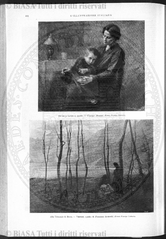 s. 2, n. 12 (1890-1891) - Pagina: 265
