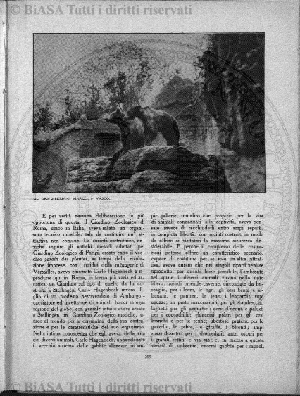 v. 7, n. 50 (1780-1781) - Pagina: 393