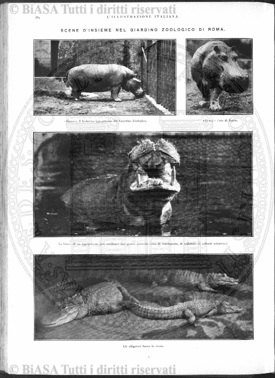 n. 15 (1913) - Frontespizio