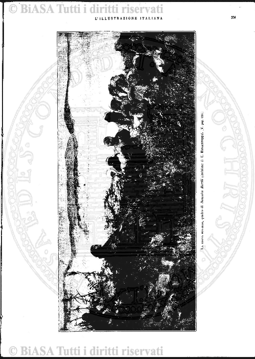 s. 3, n. 23 (1894) - Pagina: 353