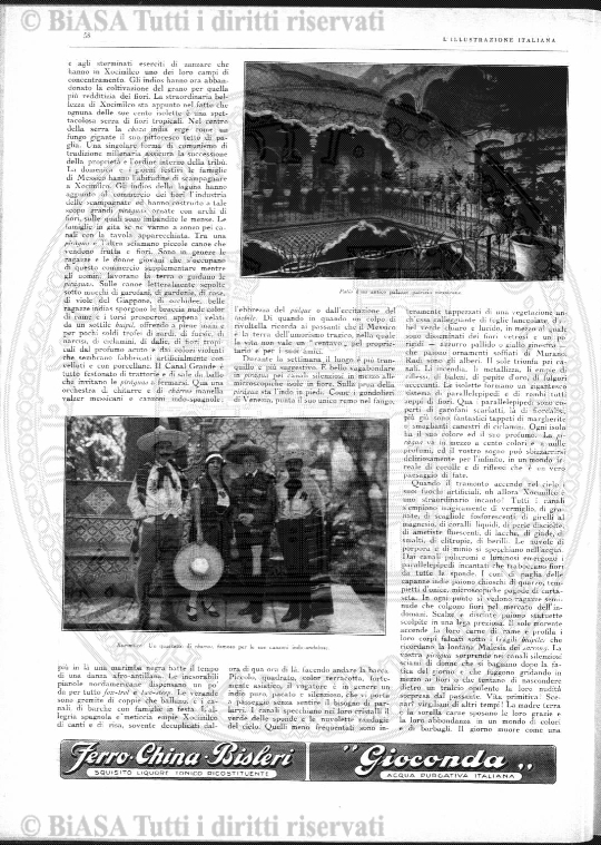 v. 31, n. 3 (1926-1927) - Copertina: 1 e sommario