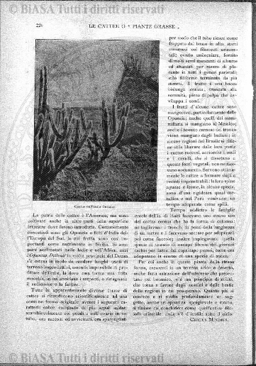 v. 3, n. 8 (1776-1777) - Pagina: 57