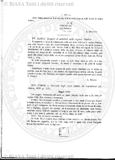 n. 6 (1904) - Pagina: 221