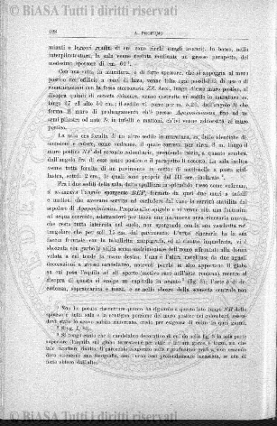 n. 40 (1879-1880) - Pagina: 313