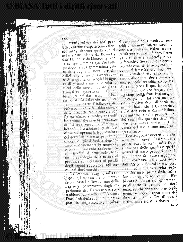 v. 3, n. 48 (1776-1777) - Pagina: 377