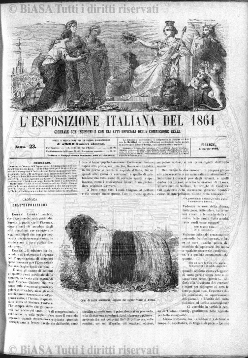 v. 3, n. 7 (1838-1839) - Pagina: 53