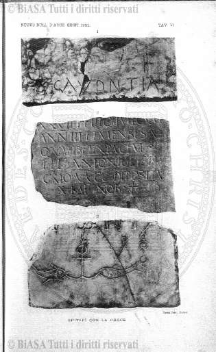 v. 2, n. 5-6 (1918) - Pagina: 49