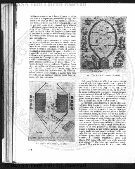 s. 6, n. 3 (1893) - Copertina: 1 e sommario